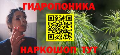 тгк Гусев