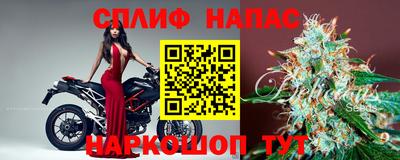 тгк Гусев
